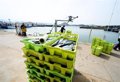 La flotte galicienne évalue l&rsquo;accord de quotas pour 2024 comme « meilleur que prévu »