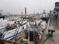 Le PSOE félicite la flotte de pêche du golfe de Cadix pour les accords du gouvernement à Bruxelles