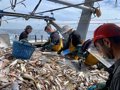 Bruxelles invite l&rsquo;Espagne à demander des fonds européens pour compenser l&rsquo;interdiction de pêche dans les eaux françaises