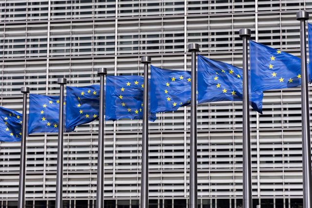 L&rsquo;UE insiste pour que les attaques des Houthis contre des cargos en mer Rouge cessent suite à la réponse américaine au Yémen