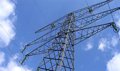 Le Conseil alloue plus de 11 millions pour protéger les oiseaux des lignes électriques à haute tension