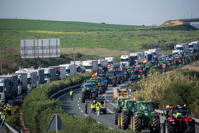 Des milliers de tracteurs ont coupé les routes d&rsquo;Andalousie lors d&rsquo;une journée de mobilisation « historique » pour le secteur agricole