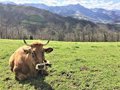 La Principauté exige du ministère des mesures supplémentaires pour améliorer la productivité du secteur agricole