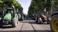 Le PP de Jaén annonce des motions dans les municipalités en soutien aux demandes du secteur agricole