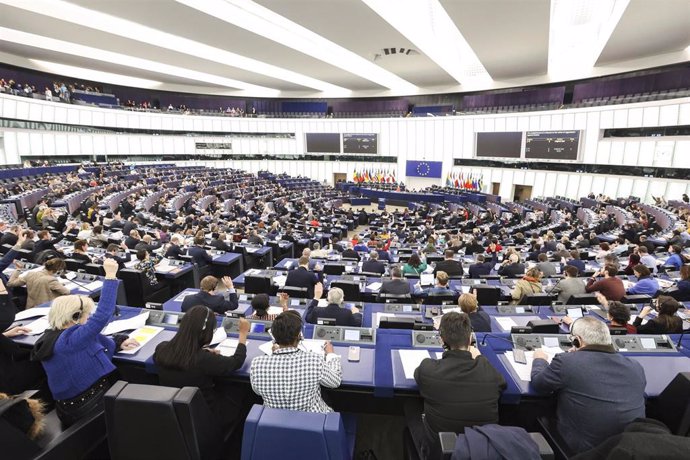 Le Parlement européen est divisé sur la réponse à donner à Israël pour son offensive à Gaza