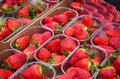 Asaja, après avoir détecté une hépatite dans des fraises : « Dans quelle mesure l'UE est-elle prête à mettre la santé en danger ?