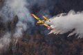 Bruxelles annonce l'achat de 12 hydravions de lutte contre les incendies, dont deux seront accueillis par l'Espagne