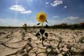Bruxelles estime les pertes à cause du réchauffement climatique dans l'UE jusqu'à 2.400 milliards entre 2031 et 2050