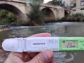 Greenpeace exige que l'Espagne change son modèle agro-industriel après l'arrêt de la CJUE sur les nitrates
