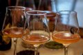Les exportations espagnoles de bière chutent de 2,8 % en 2023 et placent l'Espagne au deuxième rang des pays producteurs de l'UE.