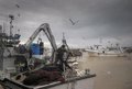 Les pêcheurs andalous entament des actions contre la proposition du procureur général de l'UE d'annuler l'accord avec le Maroc