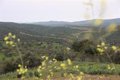 Ribera prévient que ce serait un « énorme échec pour l'UE » si la loi sur la biodiversité tombait