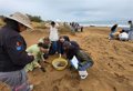 Environnement développe avec Amefmur une journée de collecte des déchets à Playa Larga de Calblanque