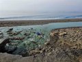 Le déversement qui a rendu bleue l'eau d'une plage entre Salobreña et Motril (Grenade) provenait d'un engrais autorisé par l'UE.