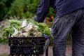 Les exportations agroalimentaires de l'UE ont atteint un excédent de 6,7 milliards en mars