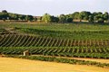 L'UE soutient les agriculteurs des pays de l'UE touchés par les crises climatiques et commerciales avec 77 millions d'euros