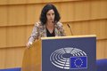 La gauche à la Chambre européenne accepte l'entrée du Mouvement Cinq Étoiles italien pour une période d'essai