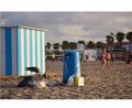 Une photographie valencienne, parmi les finalistes du concours du Pacte climatique de l'UE