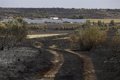 Ecologists in Action demande aux gouvernements européens de s'engager à réduire la déforestation, « cruciale » dans les incendies