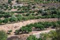 Entrée en vigueur de la loi européenne sur la restauration de la nature, approuvée en juin après des mois de stagnation au Conseil