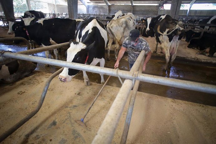Les syndicats agraires regrettent que les agriculteurs galiciens soient « les otages » de la guerre commerciale entre l'UE et la Chine