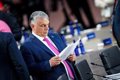 Un député européen du parti d'Orbán démissionne après une « violente dispute » avec une femme dans un bar