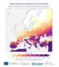 L'Europe du Sud-Est a connu 66 jours de « fort stress thermique » cet été, selon Copernicus