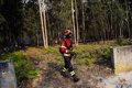 L'UE mobilise huit avions contre les incendies dans le nord du Portugal