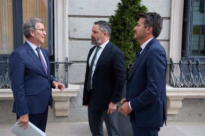 Vox souligne ses bonnes relations avec Meloni après la rencontre avec Feijóo et malgré le changement de groupe parlementaire dans l'UE