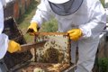 La CJUE rappelle qu'un écolabel ne peut être appliqué à un produit importé que s'il est conforme à l'ensemble du droit de l'UE