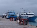 Le secteur de la pêche espagnol, « plein d'espoir » face à la nouvelle législature européenne, mise sur un changement de cap urgent