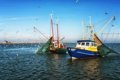 Le secteur de la pêche prévoit des « conséquences sociales et environnementales » après l'annulation de l'accord UE-Maroc
