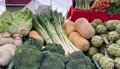 Plus de 10 000 personnes ont visité le marché paysan d'Asaja « De la terre de Madrid à votre assiette »