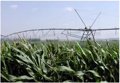 Un million d'euros attribué à cinq communautés d'irrigants qui numériseront plus de 6 000 hectares d'irrigation