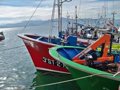 Le gouvernement apprécie la nouvelle approche de l'UE pour renforcer son leadership international contre la pêche illégale