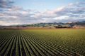 Les entités agricoles catalanes créent un front commun contre le traité entre le Mercosur et l'UE