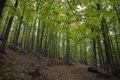 L'UE autorise « in extremis » le report d'un an de l'application du veto sur les ventes de produits provoquant la déforestation