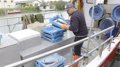 L'accord de l'UE génère de l'incertitude parmi les pêcheurs des Baléares : « Les petits caractères manquent »