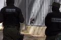 La Pologne enregistre une augmentation du nombre de migrants tentant de traverser irrégulièrement la frontière depuis la Biélorussie
