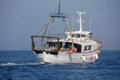 Le secteur chalutier andalou est paralysé à 100% ce 2 janvier face à la réduction des jours de pêche