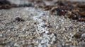 Les 27 s'accordent sur de nouvelles règles pour éviter les déversements de granulés de plastique comme celui de Galice en janvier dernier