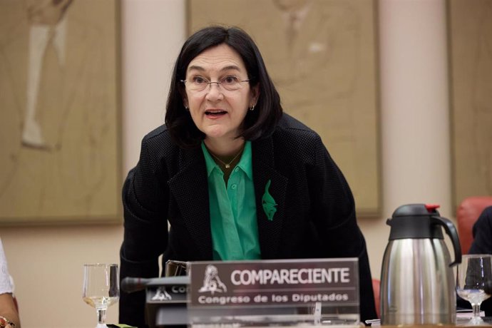 Ultimatum de Bruxelles à l'Espagne pour ne pas donner à la CNMC le pouvoir d'appliquer la loi européenne sur les services numériques