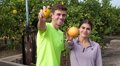 énergie et récupération pour les sportifs