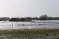 Appel d'offres pour la restauration environnementale de quatre lagunes de la zone de Doñana (Huelva) pour améliorer l'écosystème