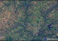 Copernic choisit une image du parc de la vallée du Guadiana pour célébrer le fait que le Portugal ait atteint 300 lynx en 2024