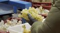 L'Union des syndicats appelle à davantage de contrôles pour éviter les matières actives interdites en Europe dans les aliments importés