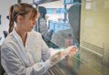Un projet Ainia lutte contre les bactéries résistantes dans les produits alimentaires