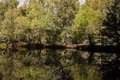 Ajoutez une question au gouvernement si vous appliquez le règlement contre la déforestation devant l'UE, qui le fera en décembre
