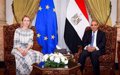 L'UE et le Comité ministériel arabo-islamique demandent le respect « immédiat » d'Alto El Fuego à Gaza