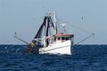 Le PP exhorte le gouvernement au Sénat à défendre le secteur de la pêche en Méditerranée et critique les mesures de l'UE